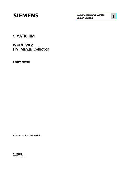 WinCC Basic Options 1 SIMATIC HMI WinCC V6.2 系统手册集