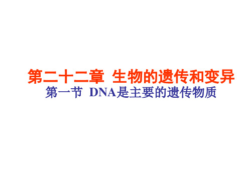 苏教版生物八下22.1《DNA是主要的遗传物质》实用说课课件(共32张PPT)