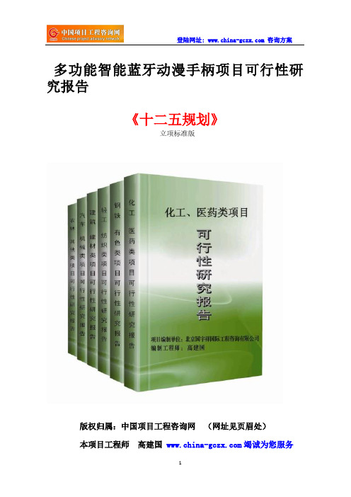 多功能智能蓝牙动漫手柄项目可行性研究报告