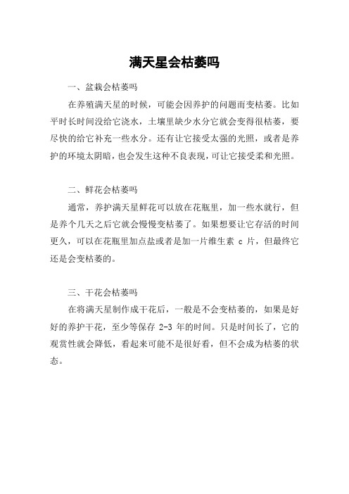 满天星会枯萎吗