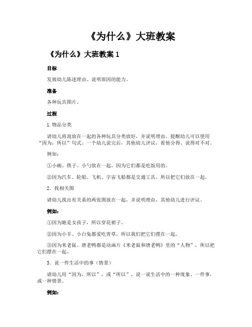 《为什么》大班教案