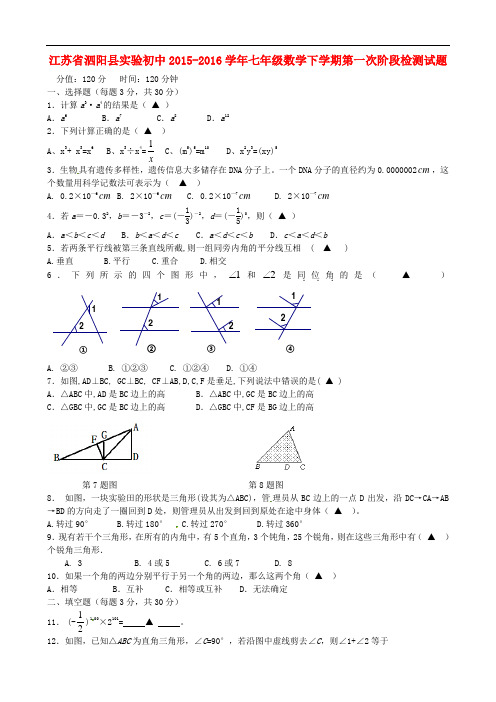 江苏省泗阳县实验初中七年级数学下学期第一次阶段检测试题 苏科版