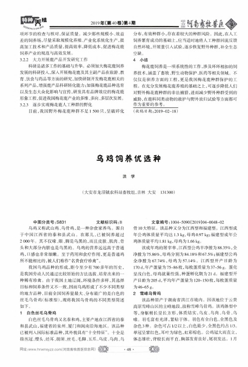 乌鸡饲养优选种