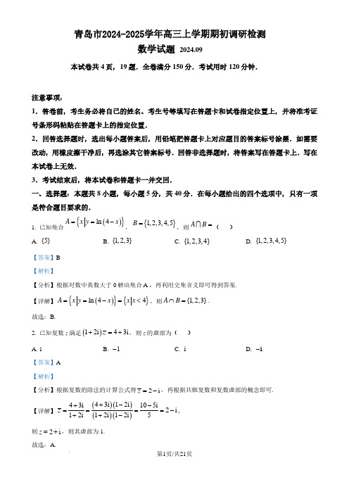 青岛市2024-2025学年高三上学期期初考试青岛数学试题(解析版)