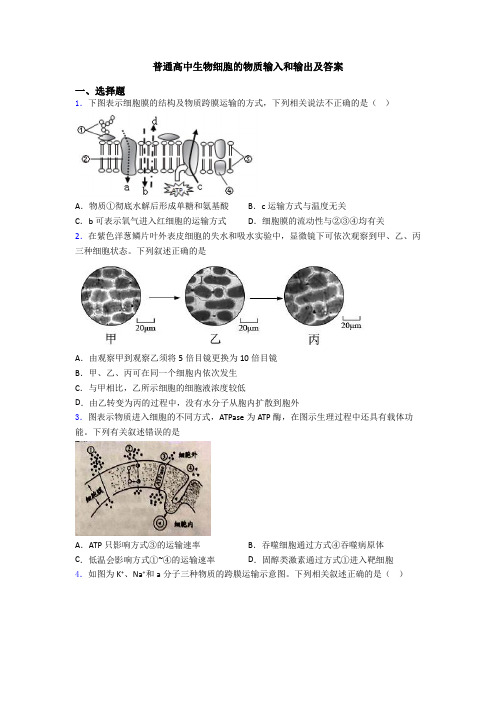 普通高中生物细胞的物质输入和输出及答案