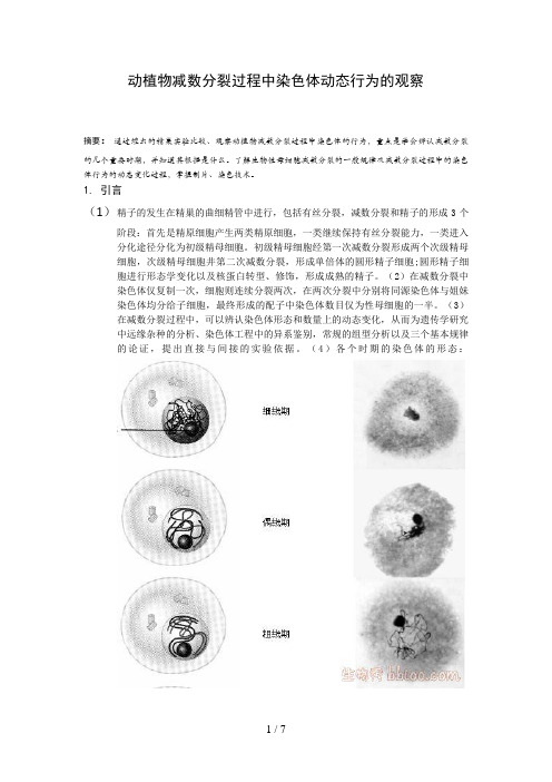 动植物减数分裂过程中染色体动态行为的观察