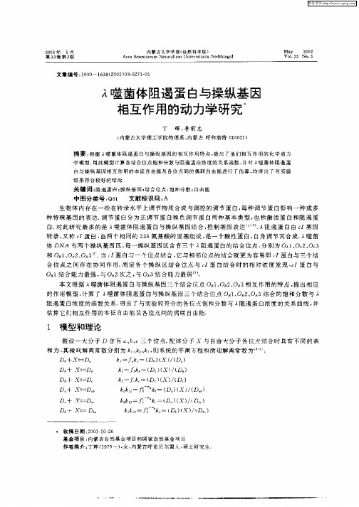λ噬菌体阻遏蛋白与操纵基因相互作用的动力学研究
