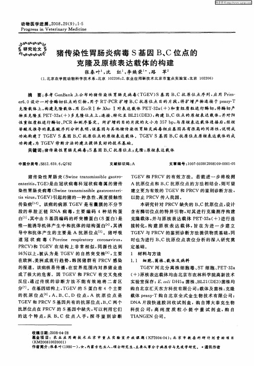 猪传染性胃肠炎病毒S基因B、C位点的克隆及原核表达载体的构建