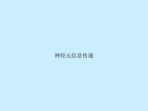 神经元信息传递