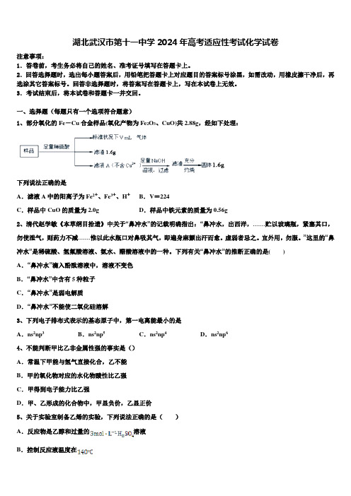 湖北武汉市第十一中学2024年高考适应性考试化学试卷含解析