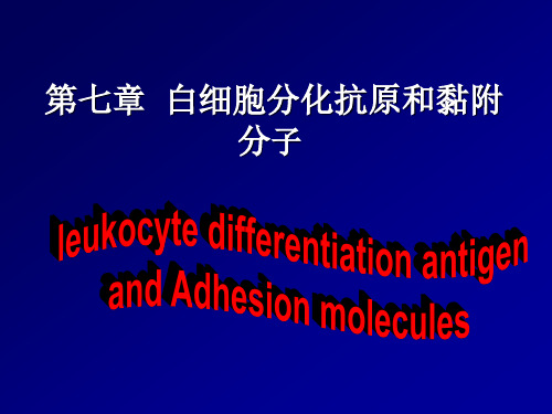 第7章 白细胞分化抗原和粘附分子