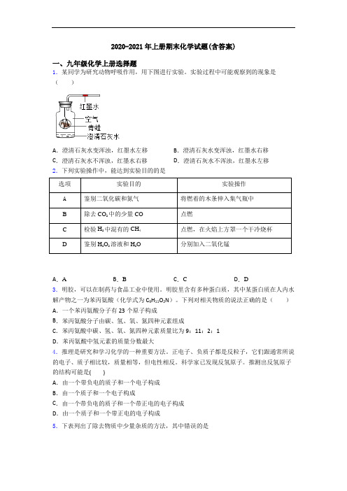 2020-2021年初三化学上册期末化学试题(含答案)