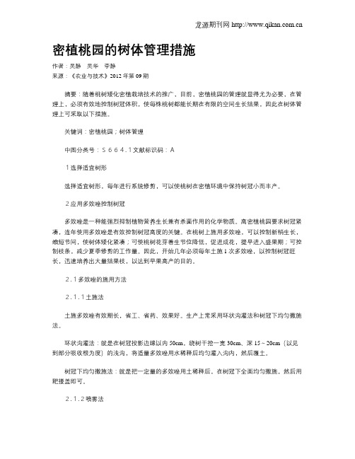 密植桃园的树体管理措施