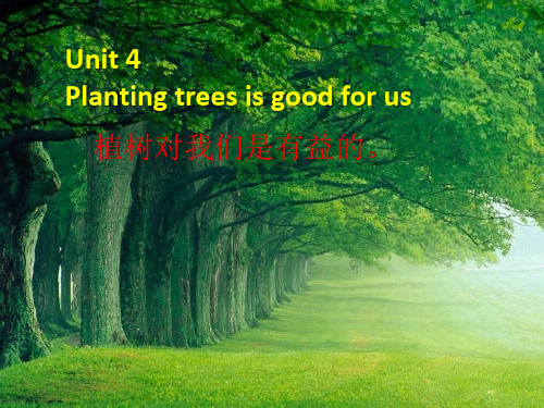 六年级下册英语课件Unit 4Planting trees is good for us6_湘少版