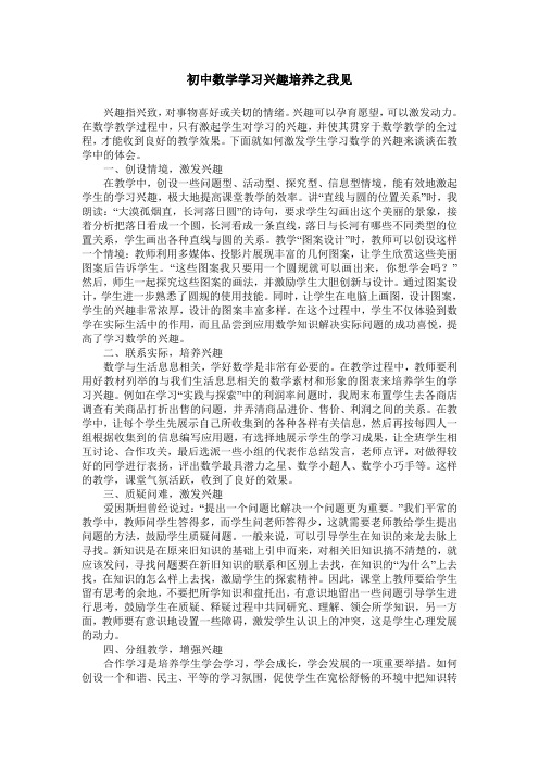 初中数学学习兴趣培养之我见