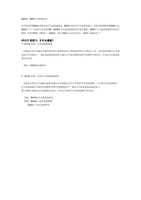 B0000、B0001的参数意思？  Microsoft Word 文档