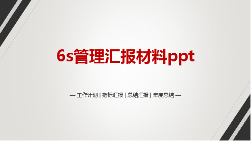 6s管理汇报材料ppt