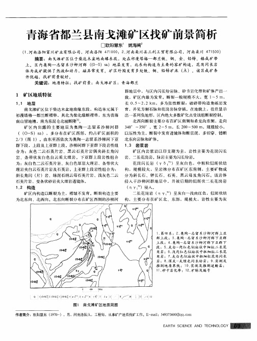 青海省都兰县南戈滩矿区找矿前景简析