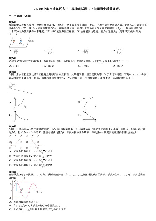 2024年上海市普陀区高三二模物理试题(下学期期中质量调研)