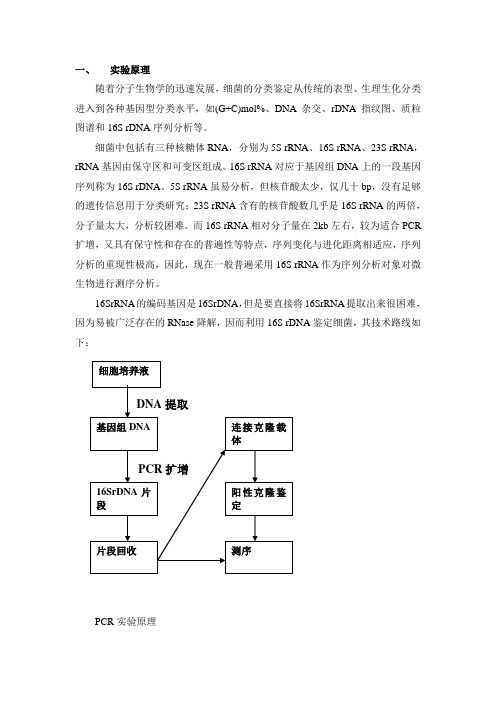 16SrDNA 实验原理