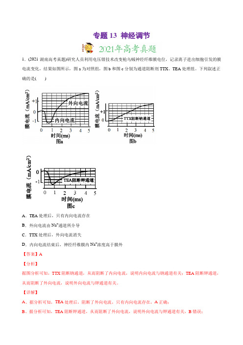 高中生物高考专题13 神经调节-2021年高考生物真题与模拟题分类训练(教师版含解析)