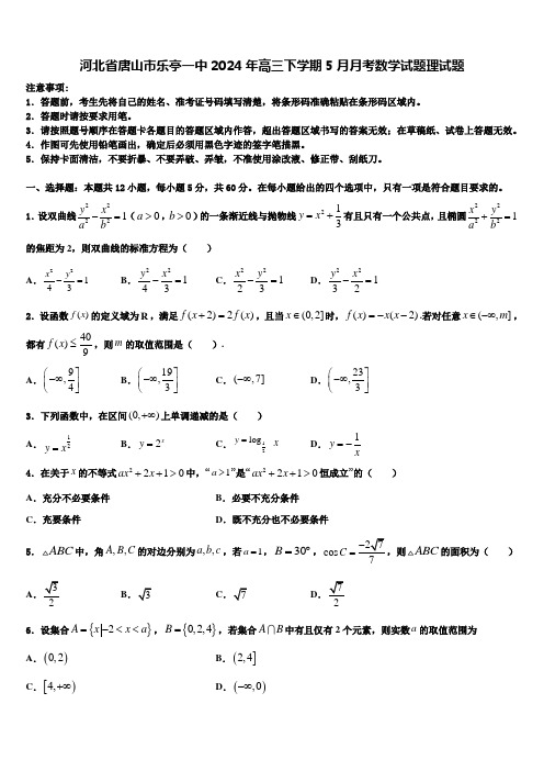 河北省唐山市乐亭一中2024年高三下学期5月月考数学试题理试题