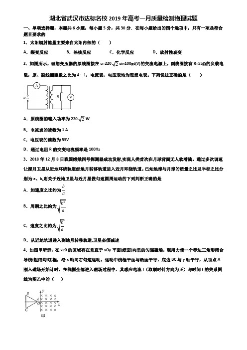 湖北省武汉市达标名校2019年高考一月质量检测物理试题含解析