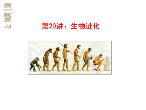 高三生物一轮复习生物的进化(共27张PPT)