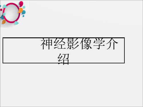 《神经影像》PPT课件