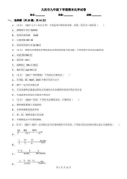 大庆市九年级下学期期末化学试卷