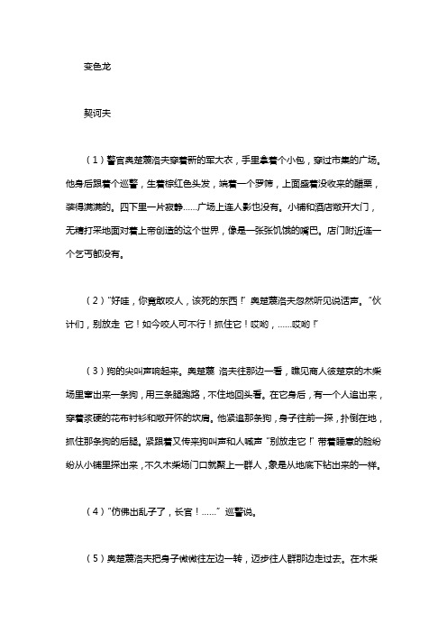 契诃夫 变色龙阅读答案 (1)警官奥楚蔑洛夫穿着新的军大衣
