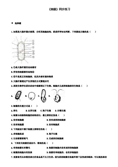 八年级生物上册5.4.2细菌练习