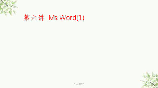 office word发展历史课件