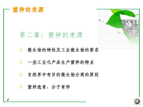 《菌种的来源》PPT课件 (2)