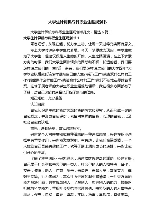 大学生计算机专科职业生涯规划书