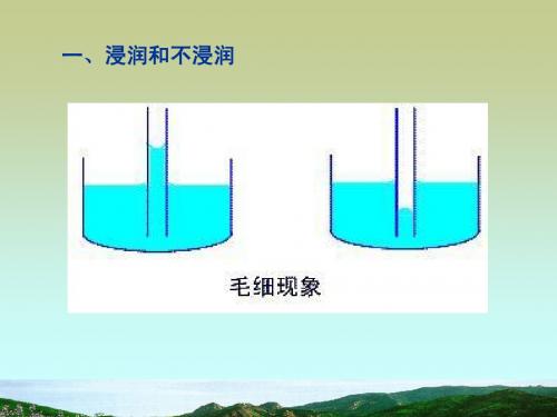 毛细现象