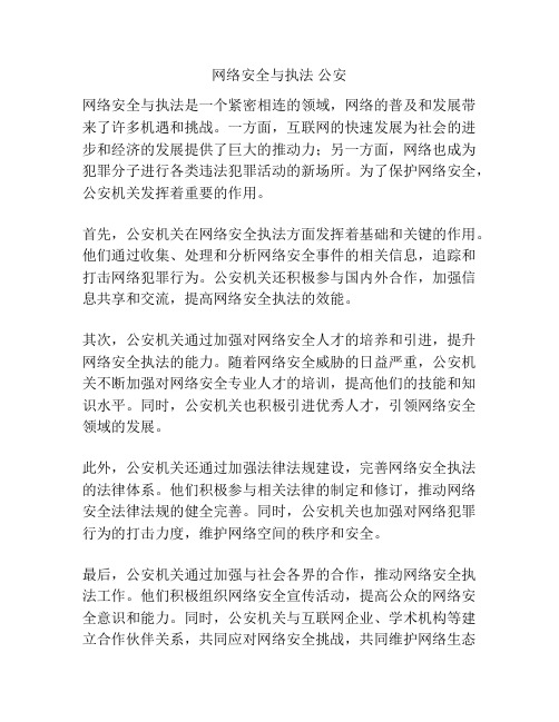 网络安全与执法 公安