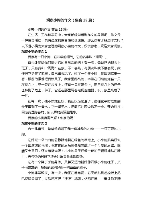 观察小狗的作文（集合15篇）