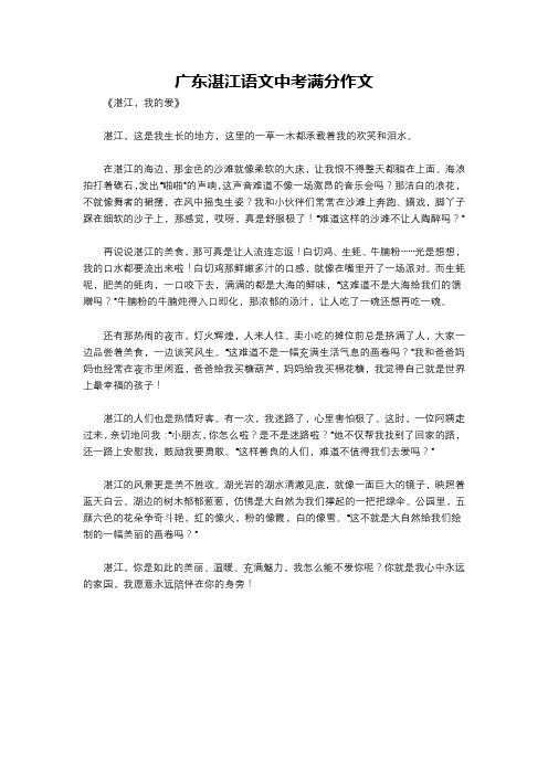 广东湛江语文中考满分作文