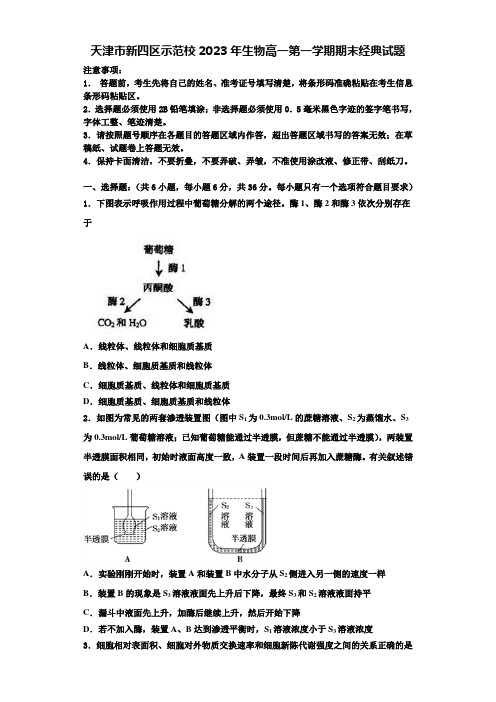 天津市新四区示范校2023年生物高一第一学期期末经典试题含解析