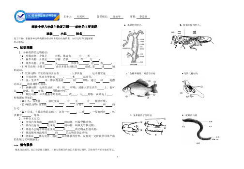 动物的主要类群(复习课)