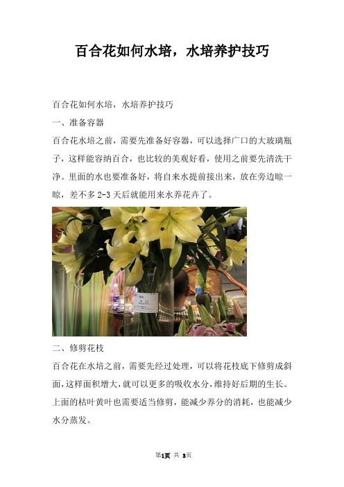 百合花如何水培,水培养护技巧