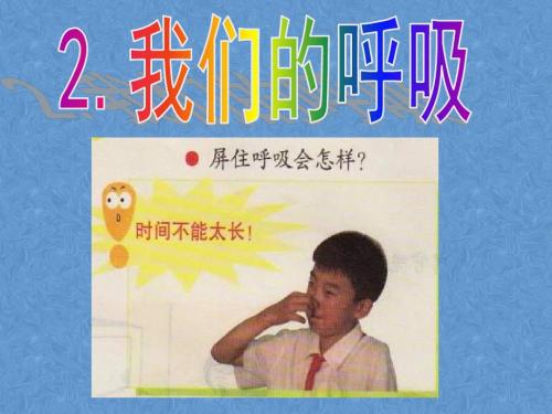 五下2.《我们的呼吸》PPT课件