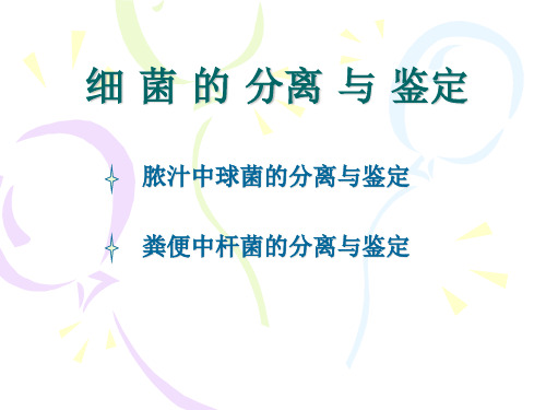 脓汁中球菌的分离与鉴定.ppt