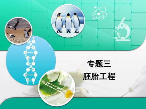 人教版高中生物选修3 第三章章末复习：《胚胎工程》专题复习课件