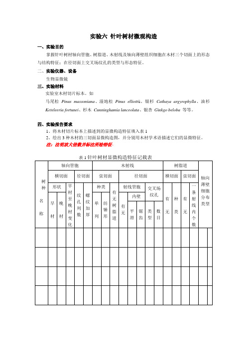 实验六 针叶树材微观构造