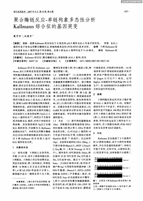 聚合酶链反应-单链构象多态性分析Kallmann综合征的基因突变