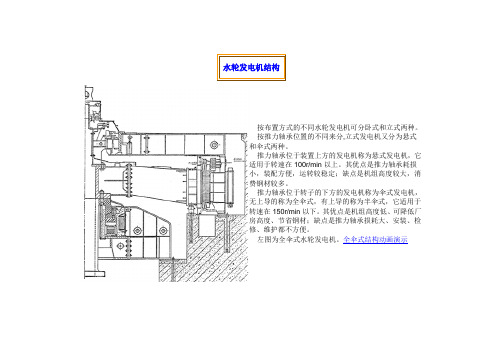 水轮发电机结构