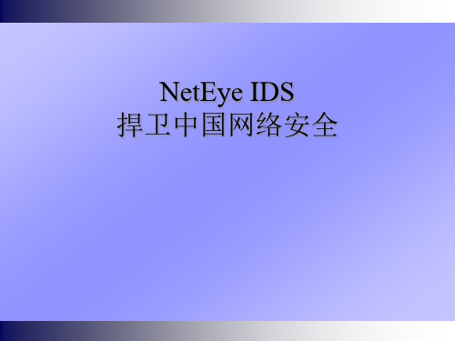 东软公司网络安全产品NetEye_IDS(PPT42页).pptx