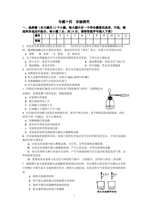 专题十四实验探究